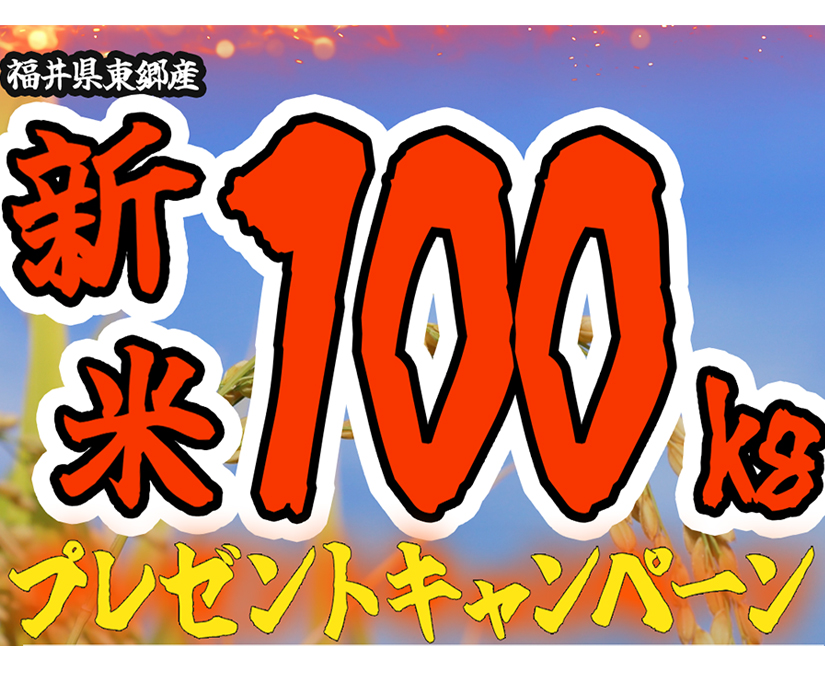 東郷の本気企画！福井県東郷産新米100kgプレゼントキャンペーン開催中｜東郷ふるさとおこし協議会