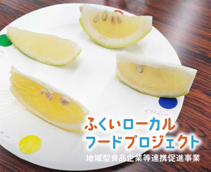 第4回ふくいローカルフードプロジェクト（地域型食品企業等連携促進事業）研修会開催