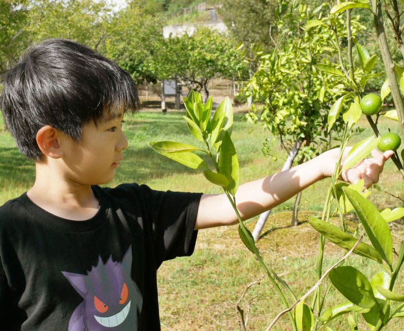 無料で楽しめる、ジモティー推しの“遊び場”～鯖江市編～｜子育て情報
