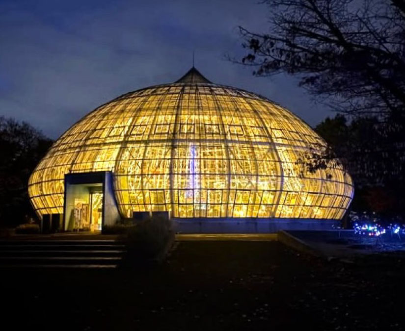 「花の展示温室イルミネーション」｜福井県総合グリーンセンター