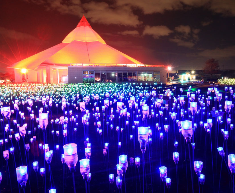 ゆりの里公園イルミネーション｜ゆりの里公園