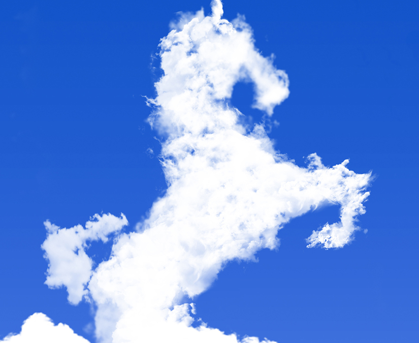 ウマ年も難しい話をウマいことわかりやすくお伝えします｜気象予報士 二村千津子の風と雲