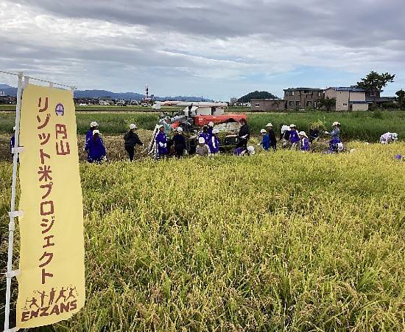 福井市円山地区発！“リゾット米”で作る新しい日本酒「リゾッシュ」をみんなの力で世界へ。クラウドファンディング実施中！