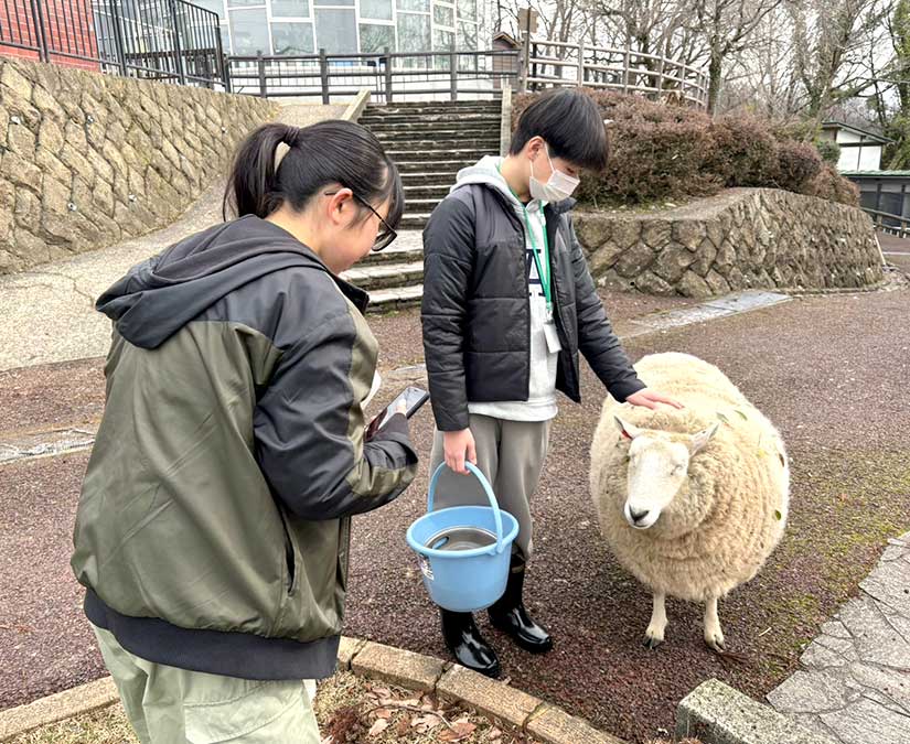 【3/7】動物好き集まれ！ 足羽山公園遊園地で大人の飼育体験募集。｜足羽山公園遊園地
