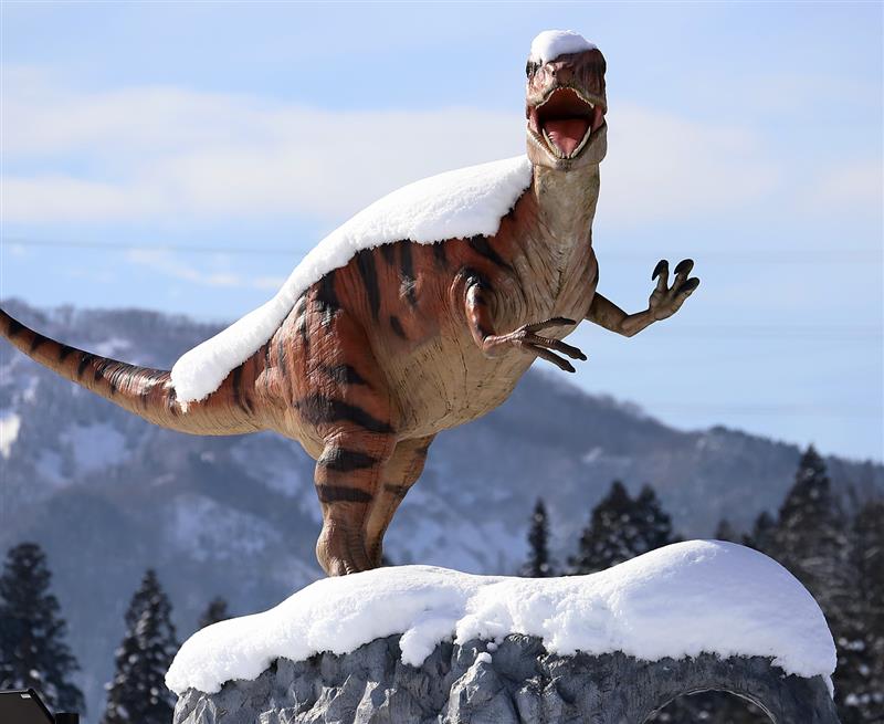 毎年のように聞く“10年に一度の〇〇”について解説します｜気象予報士 二村千津子の風と雲