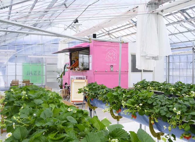 FRUITFUL GARDEN ひのの実