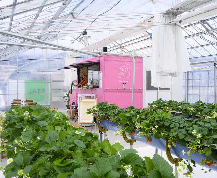 FRUITFUL GARDEN ひのの実