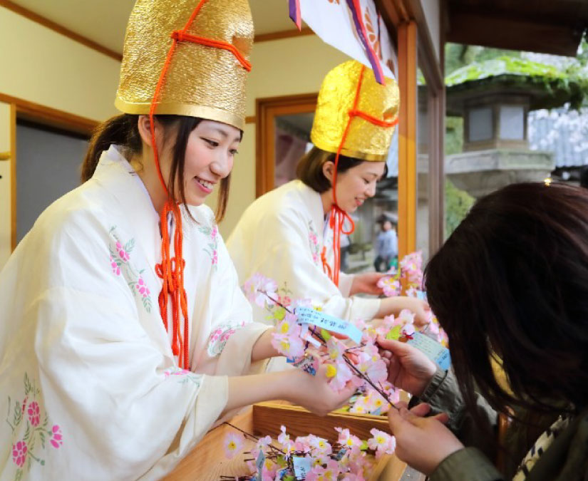 【3/27～4/7】花換まつり｜敦賀市金崎宮