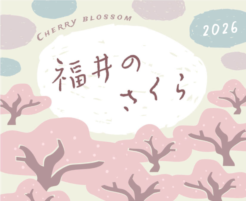 【2026】桜まつり特集〈福井の桜まつり&お花見スポット〉｜子育て情報