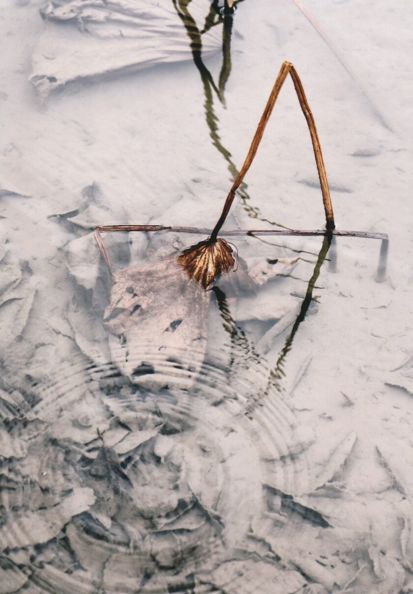 PHOTO CLUB「宙(そら)」展2026―自由 気ままに―