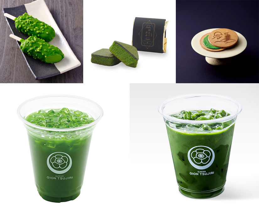 【4/29】陽願寺でお茶の魅力に触れるイベント開催。春の特別拝観や庭園のライトアップも。│越前市