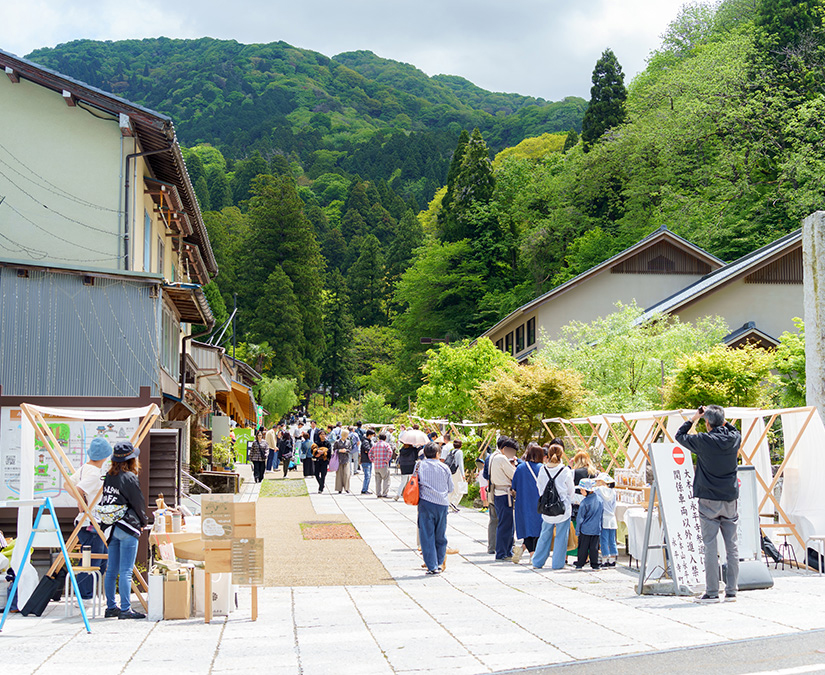 【5/10】永平寺参道にロハスマーケットが出張！心と身体と地球にやさしいマーケットイベントを楽しもう！