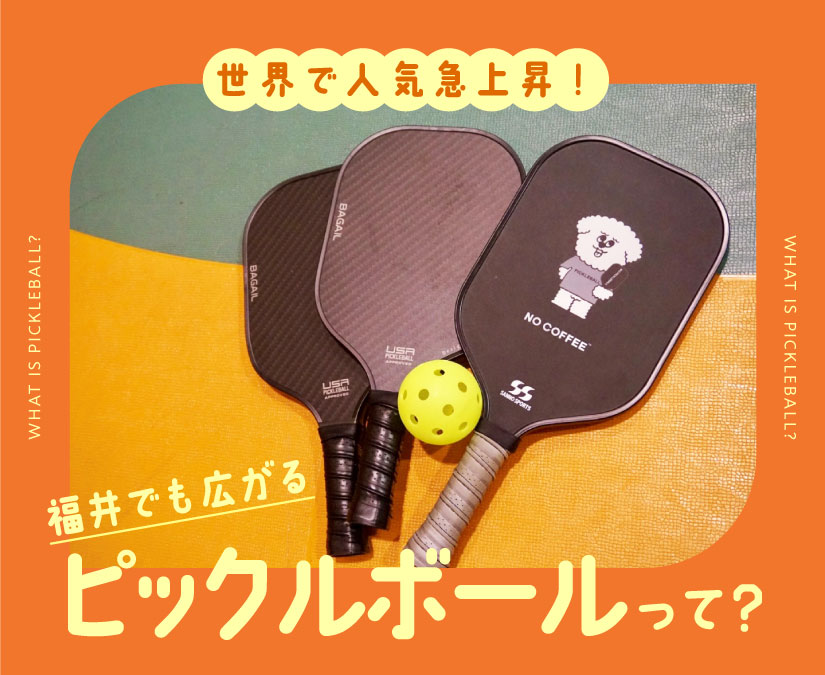 世界で人気急上昇！ 福井でも広がる「ピックルボール」って？